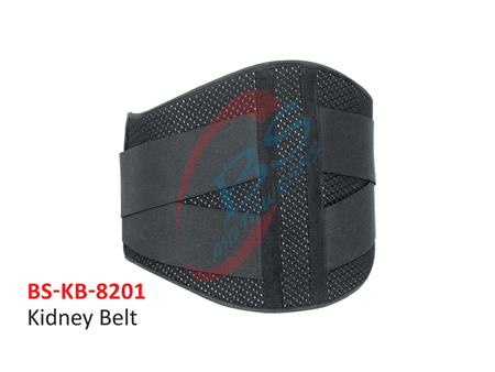 Kidney Belt